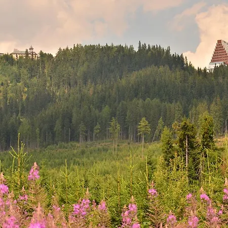 Panorama 213, Comfort